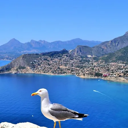 Villavalley كاليبي